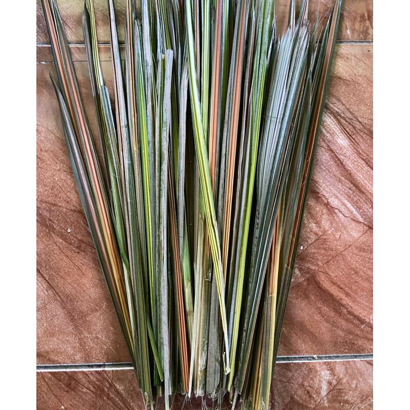 

Daun salak muda segar daun pohon salak 200 gram-az