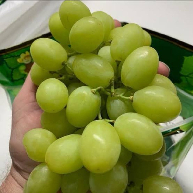 

Angur hijau shine muscat manis