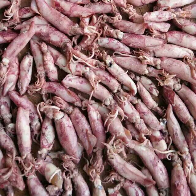 

Promo Grosir 100gram Cumi Sotong Kering/Cumi Asin/Ikan Asin Cumi Kering