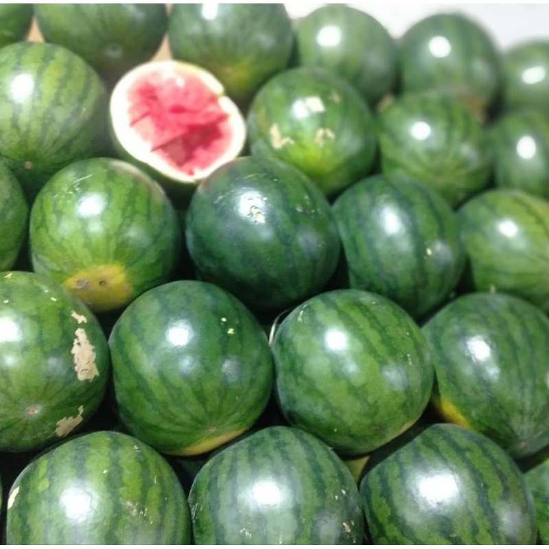 

Buah semangka tanpa Biji per buah