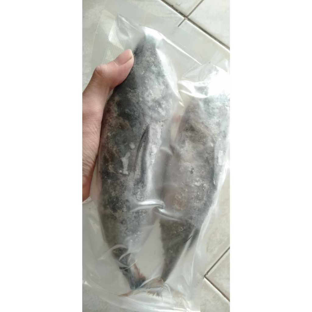 

Ikan Baby Tuna Frozen 2e 450g - 550g
