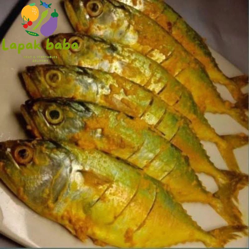 

IKAN KEMBUNG BUMBU KUNING 1 KOTAK SIAP MASAK