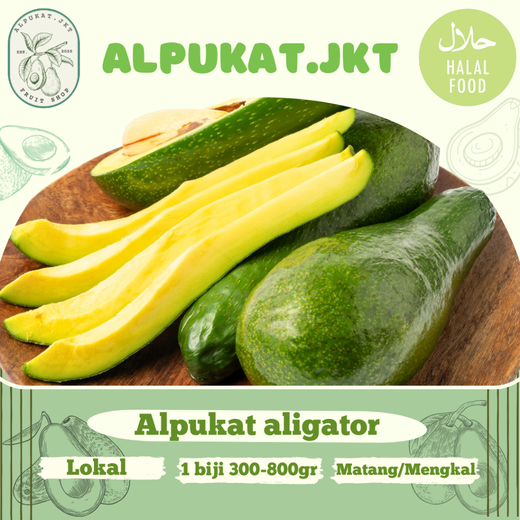 

Alpukat Mentega Aligator, Grade A Bergaransi,1 Kg - Alpukat.JKT