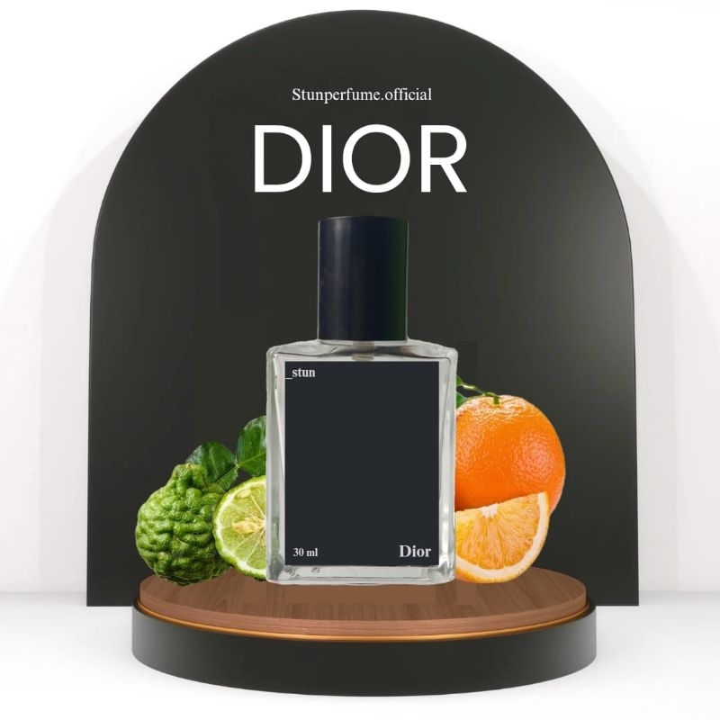 Parfum Dior Sauvage | Parfum Pria | Inspired By Stun Perfume | Parfum Tahan Lama 30 ml | Parfum Unis