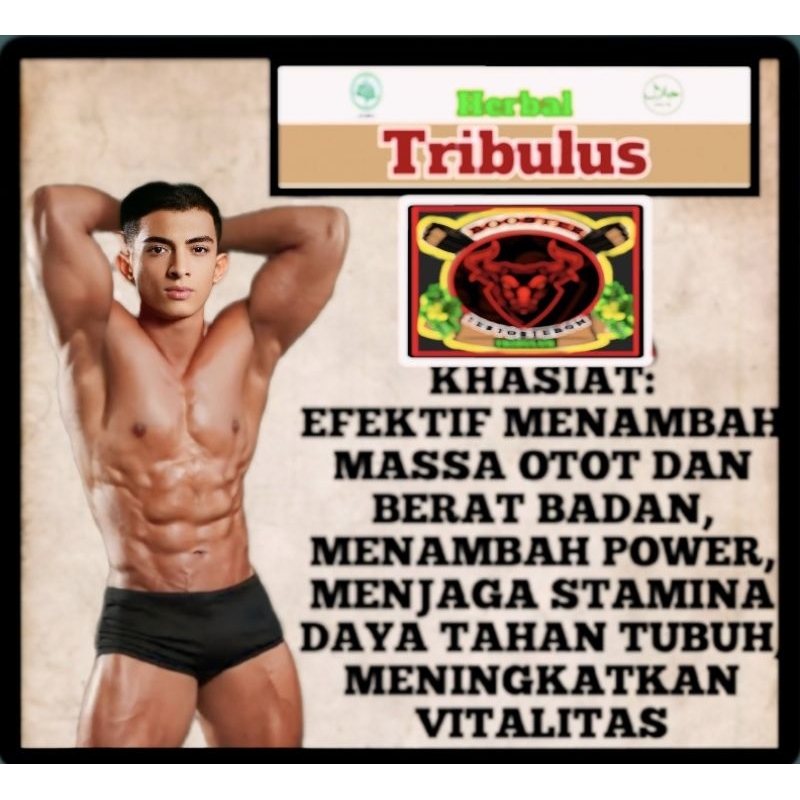 TESTOTERON TRIBULUS BOSTER PENAMBAH MASA OTOT DAN KESETABILAN TESTOTERON  ISI 100 KAPSUL