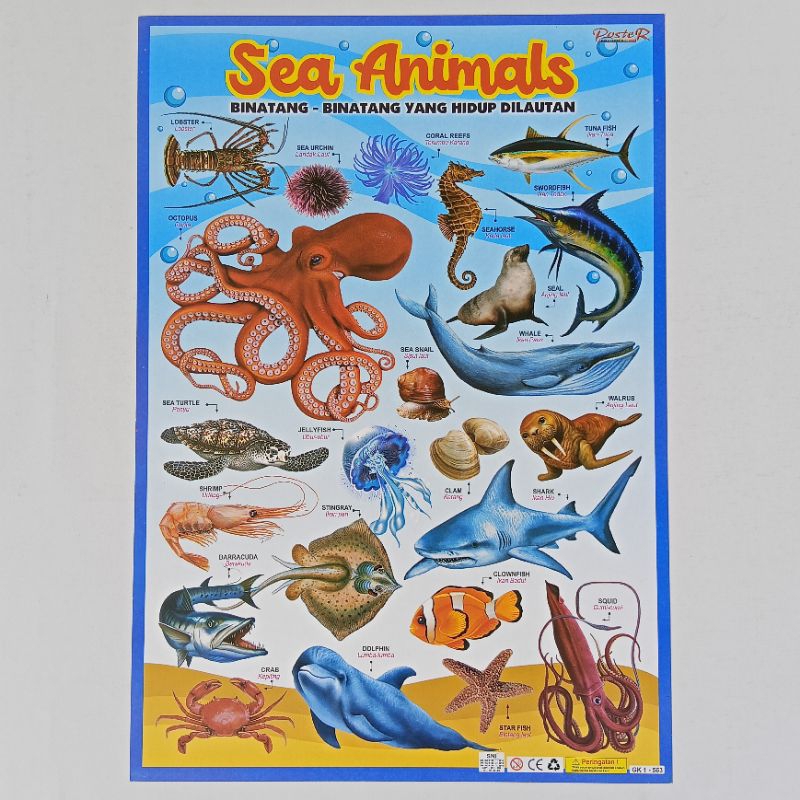 Poster Anak Edukasi Hewan Sea Animals