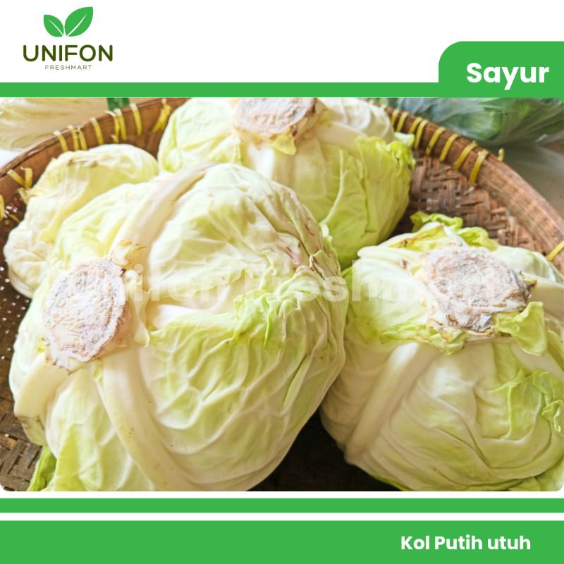 

Kol Putih Kubis Utuh (1kg-1,5kg)