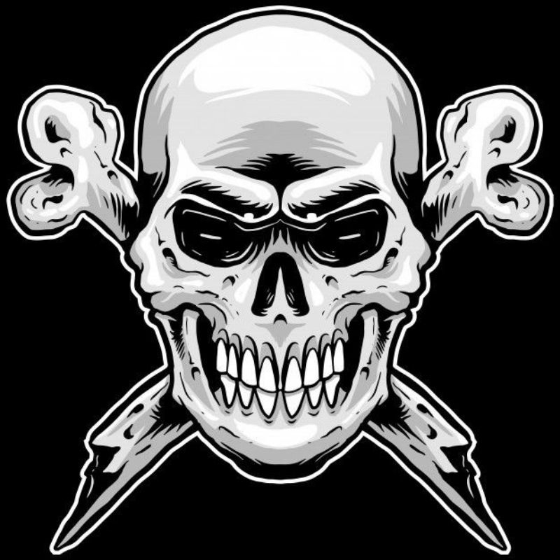 

sticker aesthetic/sticker tumblr/sticker premium/sticker hp/sticker laptop/sticker helm/tengkorak