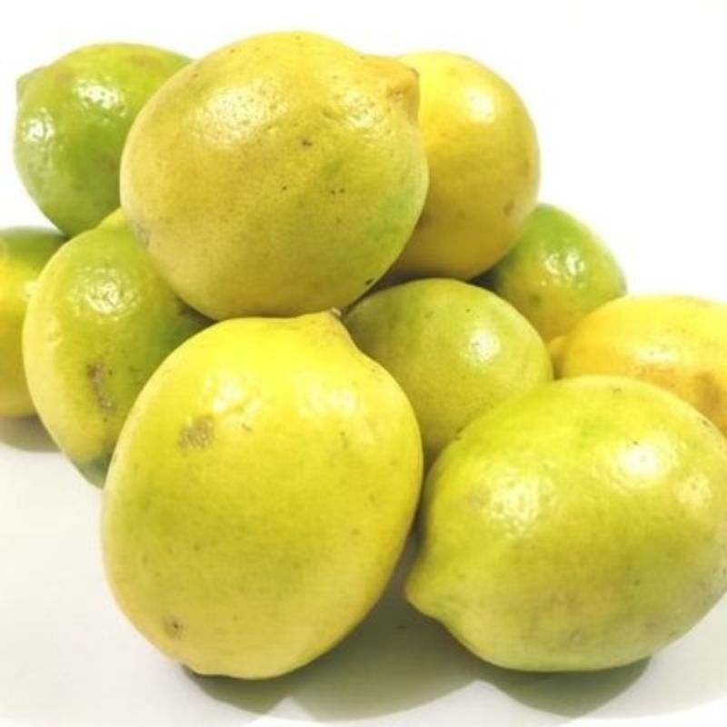 

Jeruk Lemon Lokal
