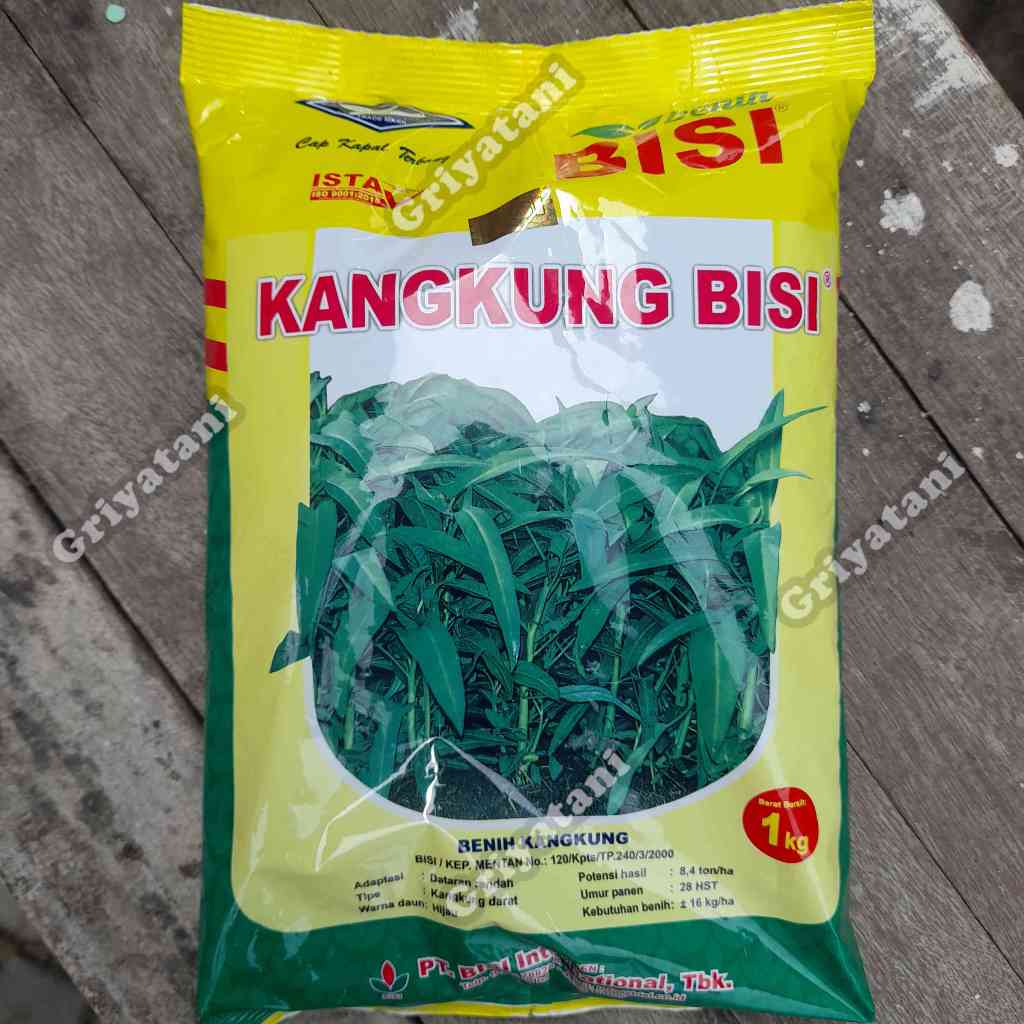 Benih Kangkung Bisi 1Kg kangkung cabut