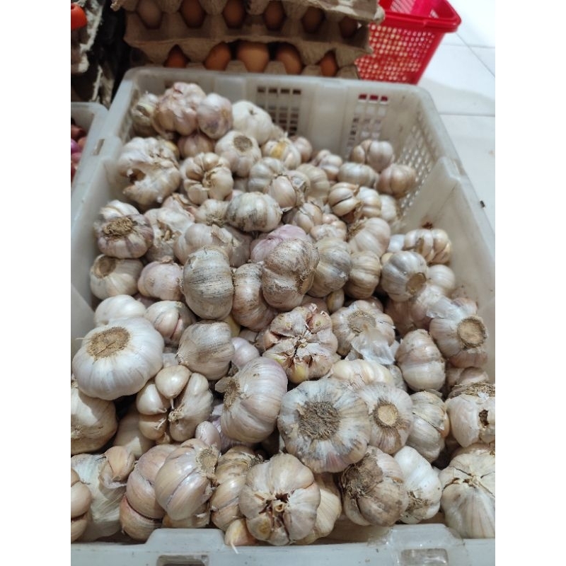 

Bawang putih mentah 1ons