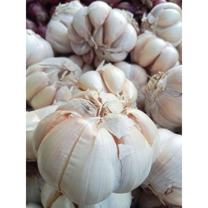 

Bawang putih