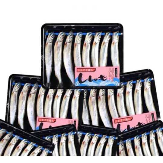 

IKAN SHISAMO FULL TELUR PREMIUM ISI 8