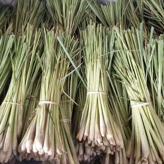 

Daun Sereh Perbungkus