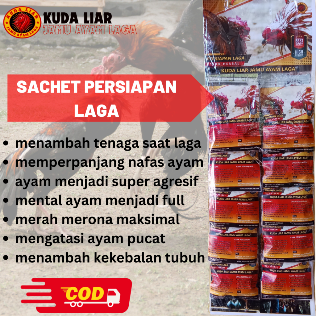 Obat Jamu Ayam Aduan Pukul Keras Biar Mental Full | KUDA LIAR PERAWATAN LAGA 1Renteng