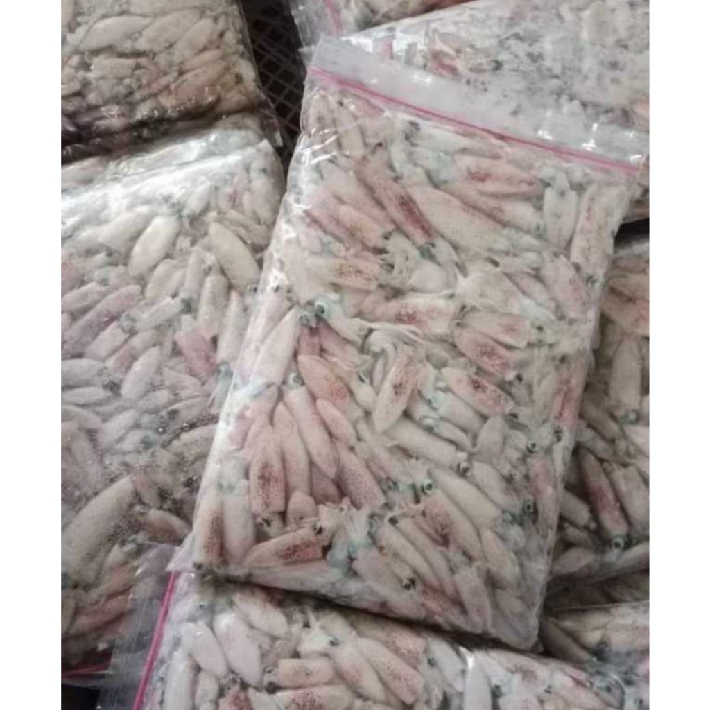 

Cumi Pen/ Cumi Beku/ Cumi Fresh Frozen/ Cumi Enak/ Cumi Premium/ Cumi Terenak/ Cumi Bahan Sambel/ Cumi Mentah/ Cumi Sehat/ Gemarikan/ Makan Ikan/ Sambel Cumi/ Cumi Malang/ Cumi Populer/