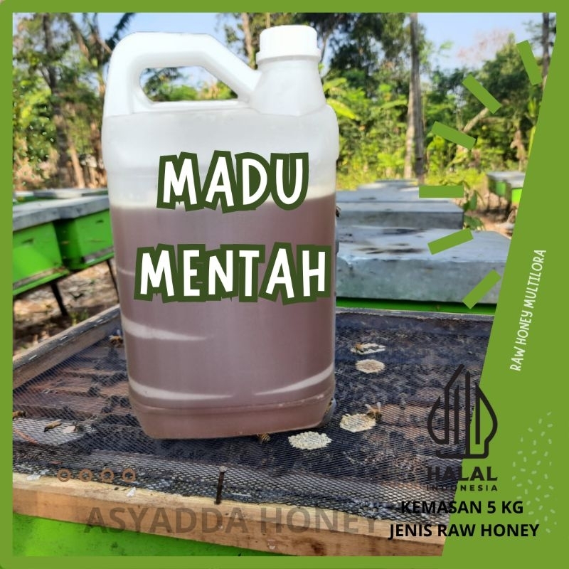 

Madu Mentah Multiflora 5 kg / Raw Honey