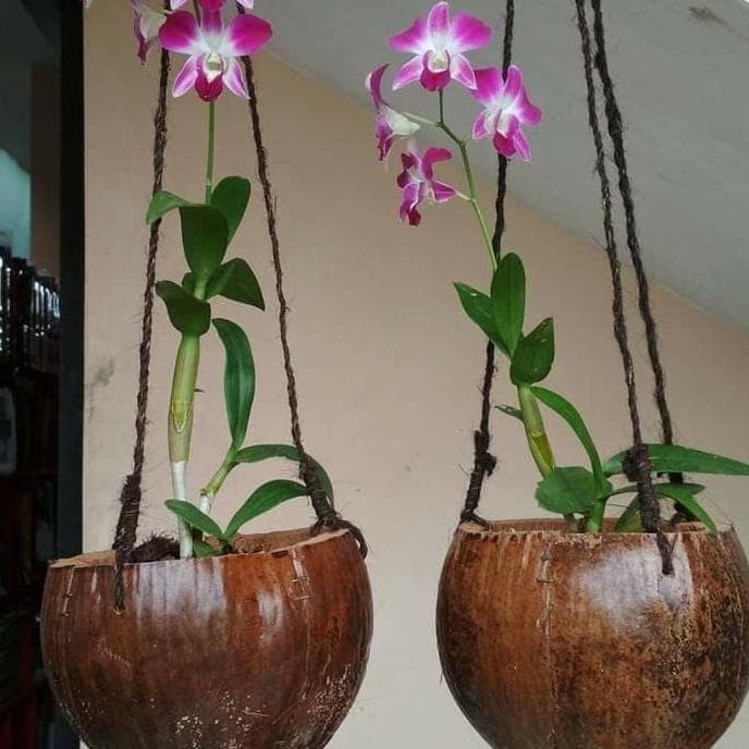 LIMBAH KELAPA POT KULIT KELAPA GANTUNG TAPAS KELAPA