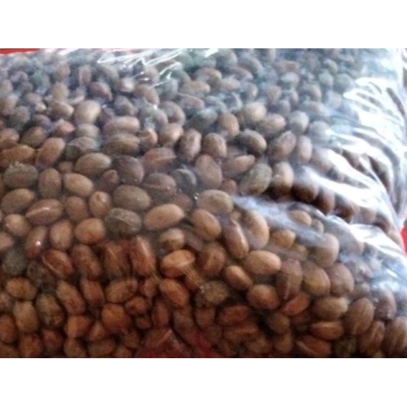 

biji polokyo 500 gram