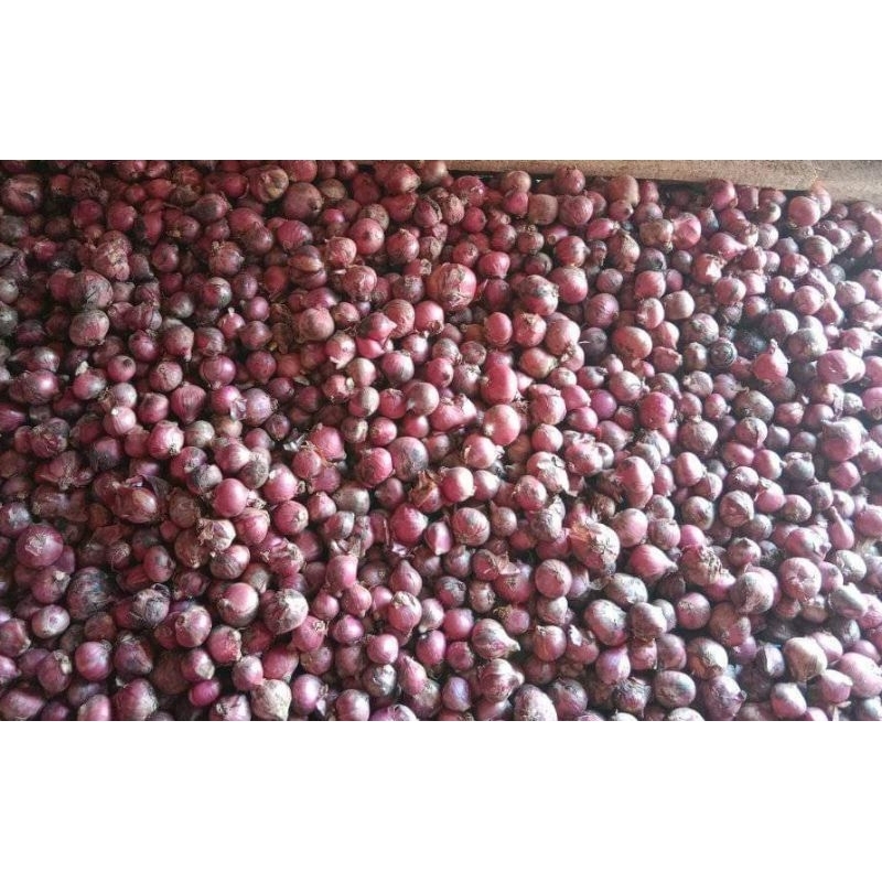 

bawang merah 900gram