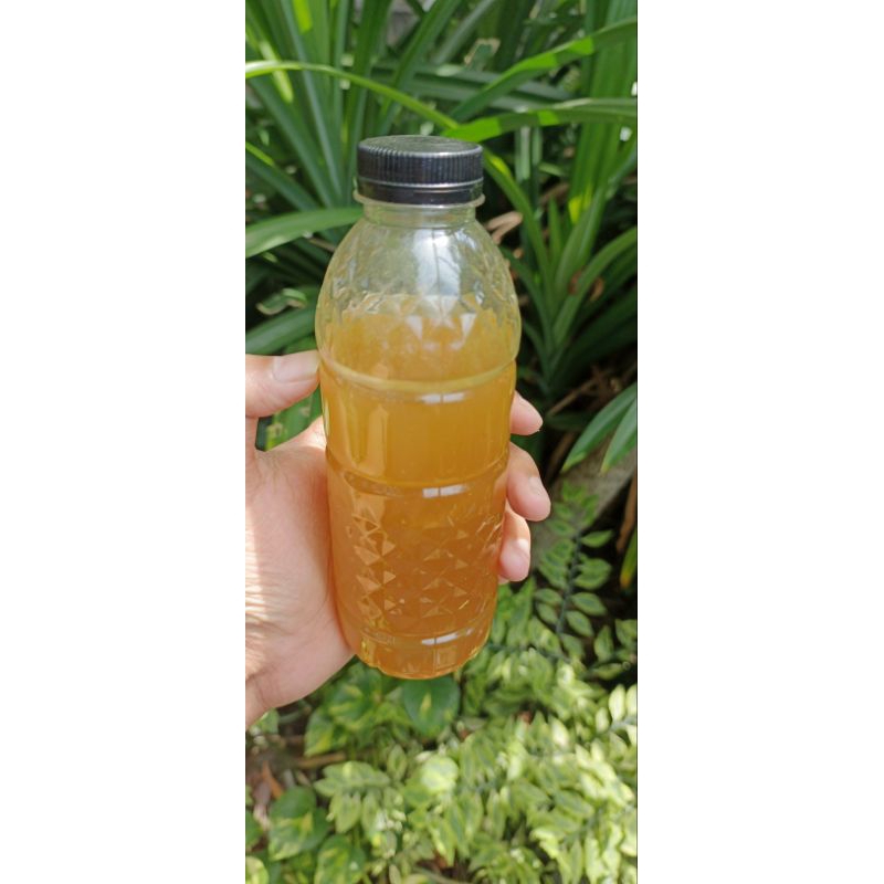 

Madu hutan RAW jenis lebah apis dorsata Berat netto 400GR