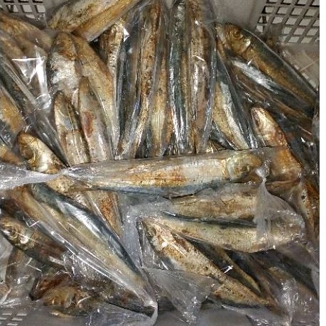 

IKAN ASIN JAPUH MURAH MERIAH