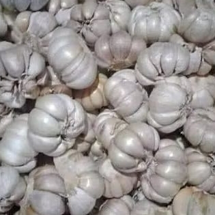 

BAWANG PUTIH 500gr