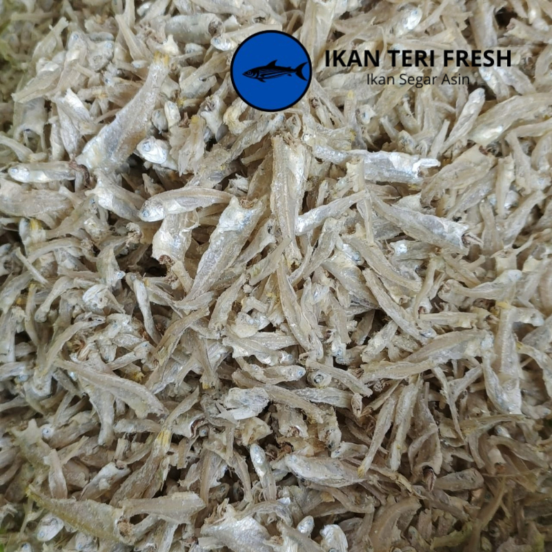 

Ikan asin | Teri Medan Ukuran Standar 1 Kg | Teri Nasi Medan | Seafood kering