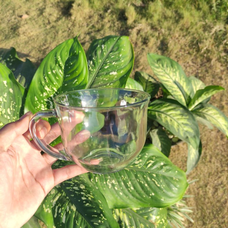 Gelas Mug Cereal Jumbo 500ml Cangkir Jumbo Mangkuk Gagang | Mangkuk Sarapan | Gelas Mie | Mangkuk Bu