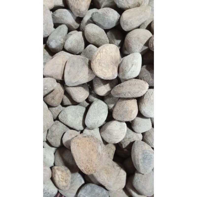 

kelewek/picung hitam 1kg