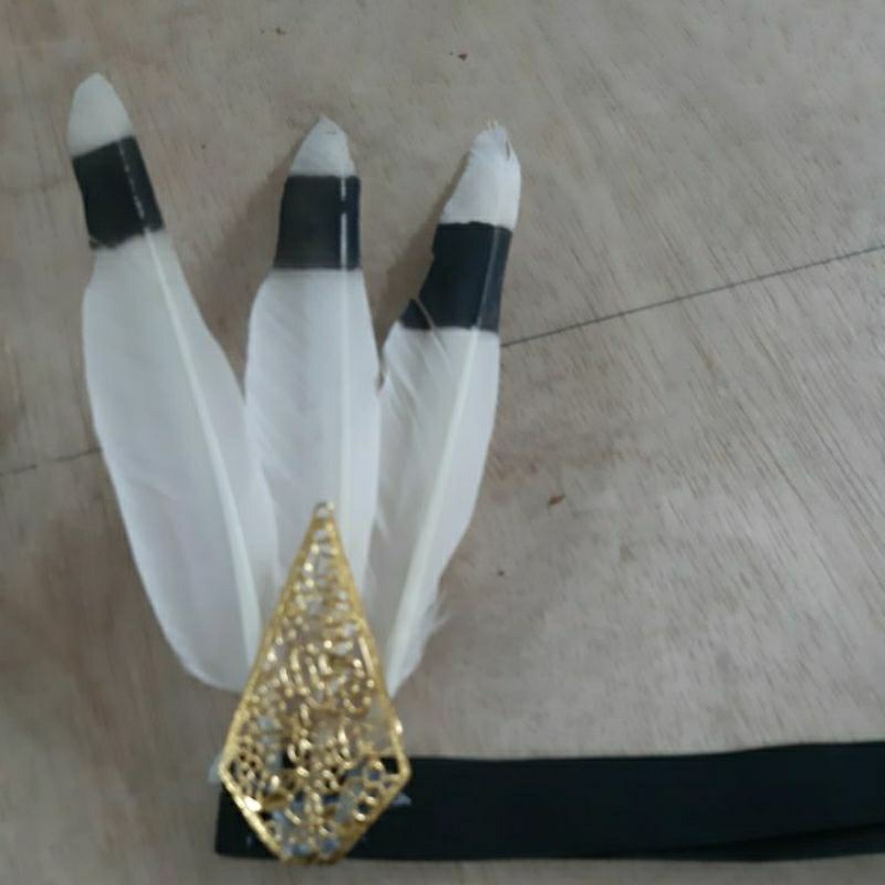 bando bulu mirip enggang