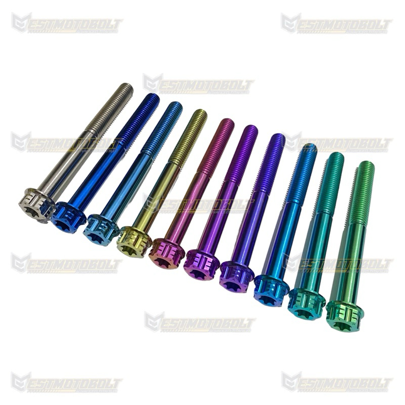 BAUT TITANIUM M10 x 100mm (DRAT 14)TWOKEY DRAT 1.5 (KASAR) TITANIUM GR5