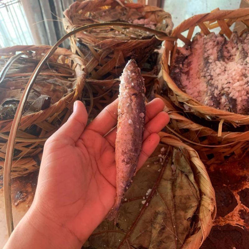 

READY PINDANG KUANTAN/KERANJANG/BESEK