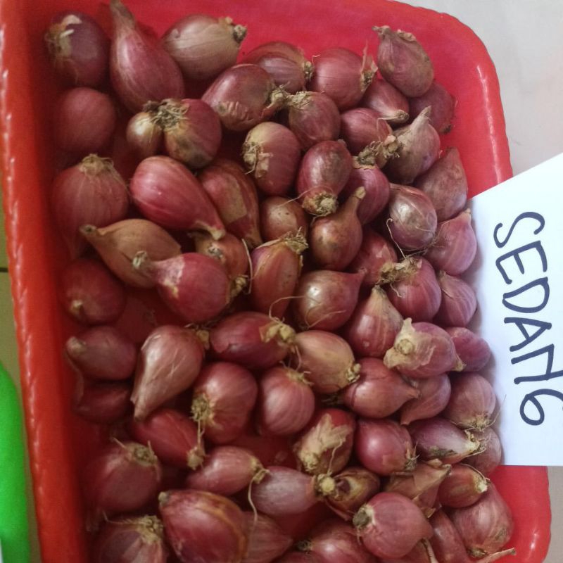 

BAWANG MERAH SUPER UKURAN SEDANG 1KG