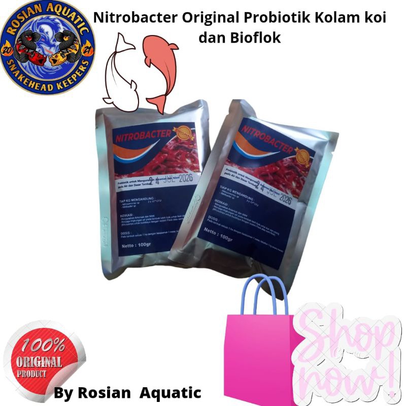 Nitrobacter Original Probiotik Kolam koi dan Bioflok
