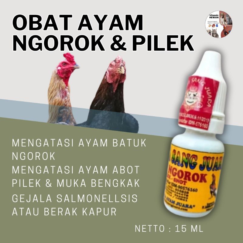 OBAT AYAM NGOROK & PILEK OBAT NGOROK AYAM BANGKOK AMPUH 30 ml