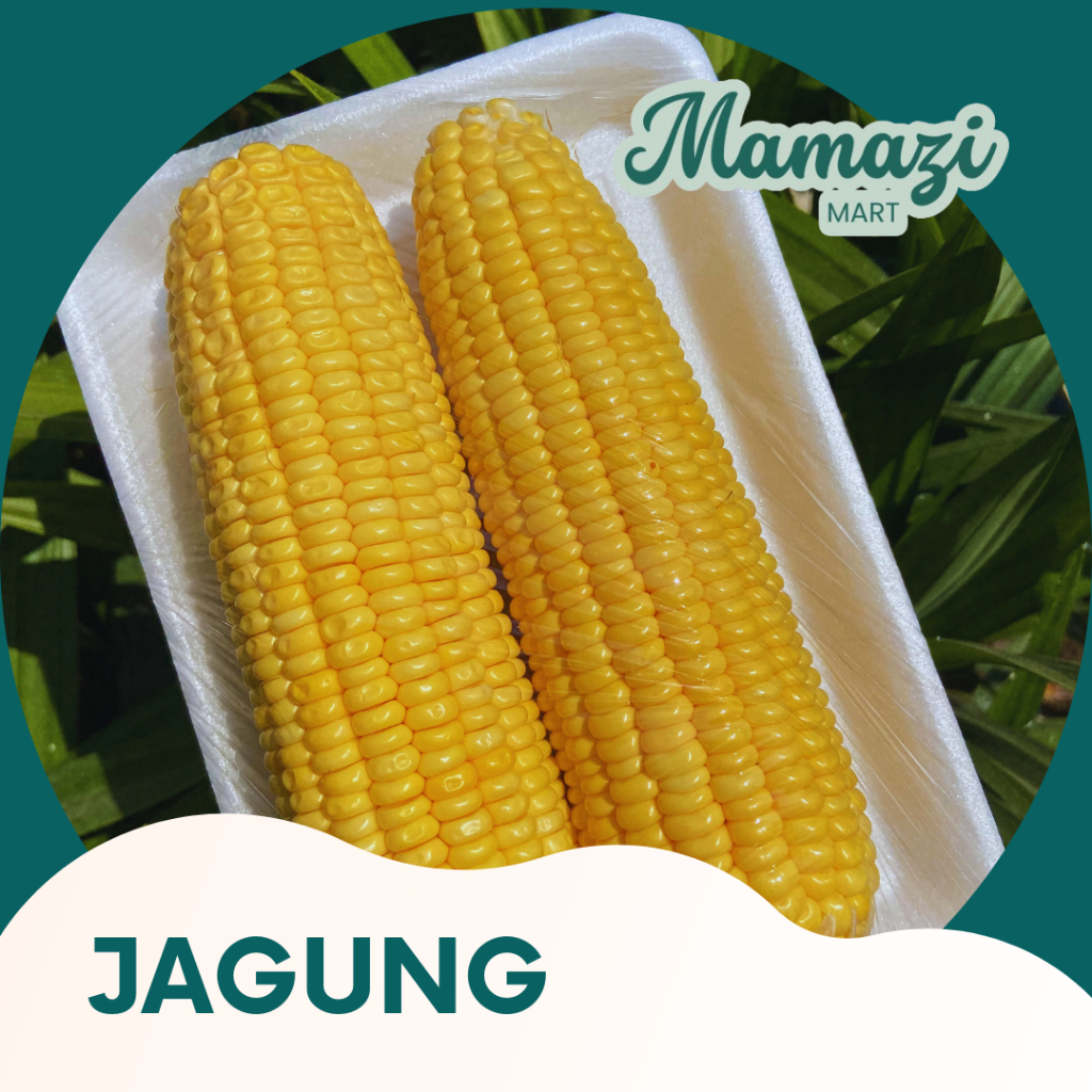 

MamaziMart - JAGUNG MANIS SAYUR JAGUNG / SWEET CORN