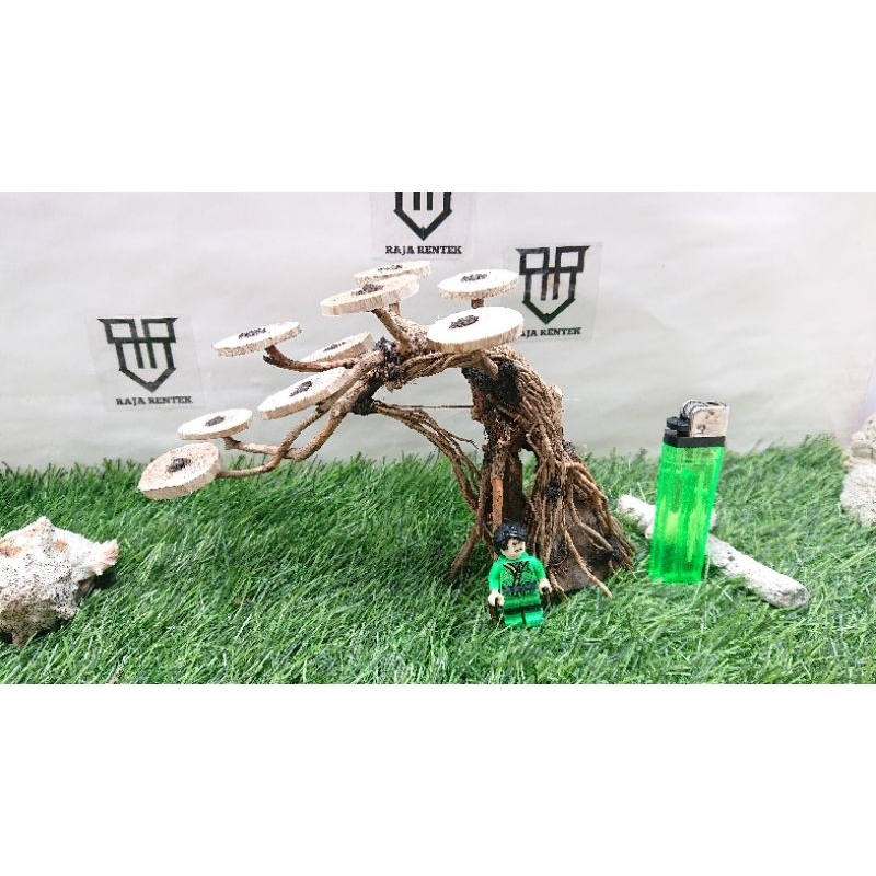 bonsai mini akuarium ciamik