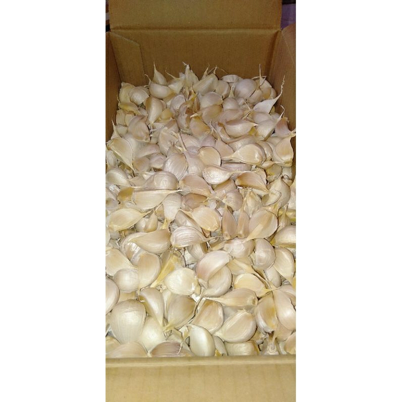 

Bawang putih kating