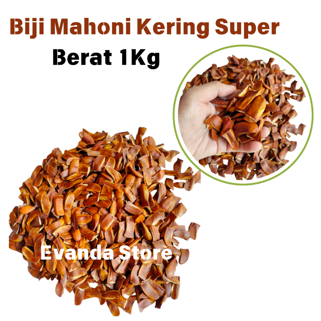 

PROMO 1kg Biji Mahoni Kering Super