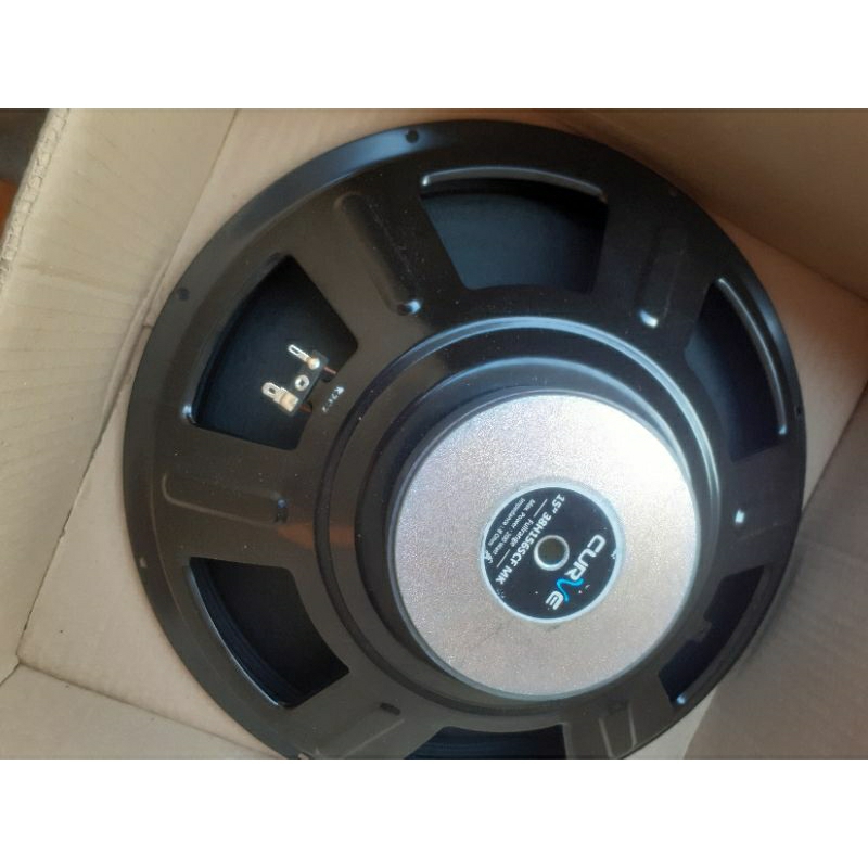 Speaker 15 inch CURVE