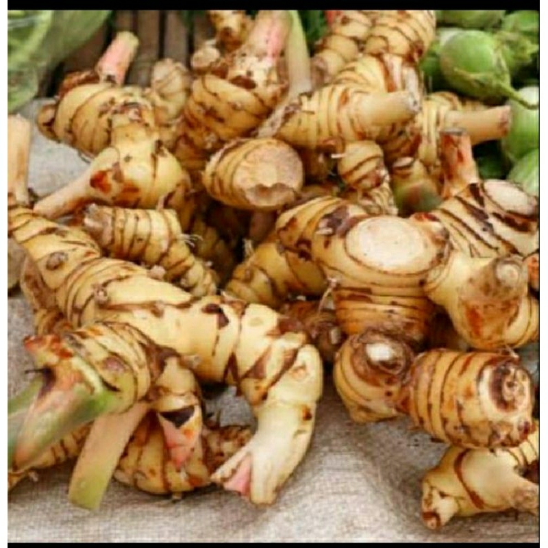 

promo 500gram laos / lengkuas segar