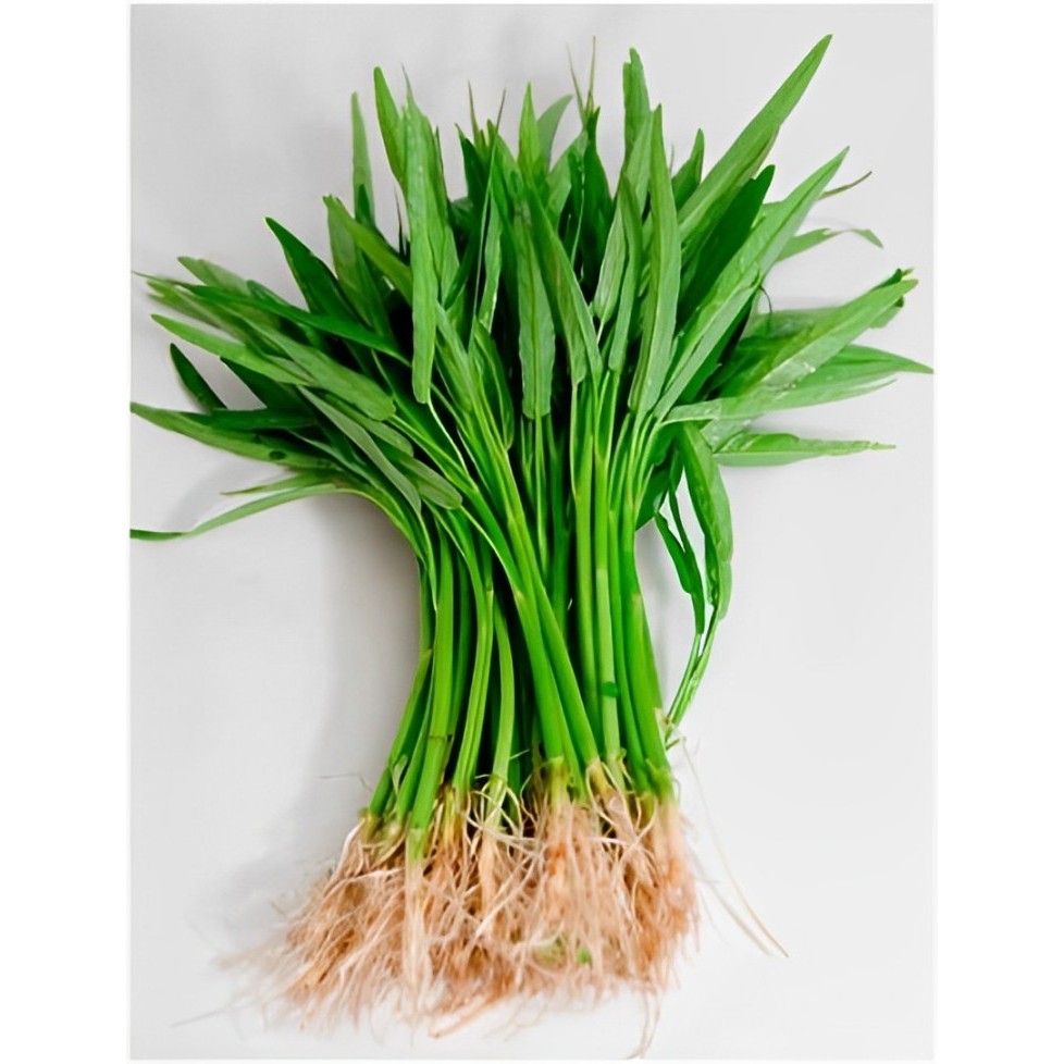 

Kangkung segar per ikat