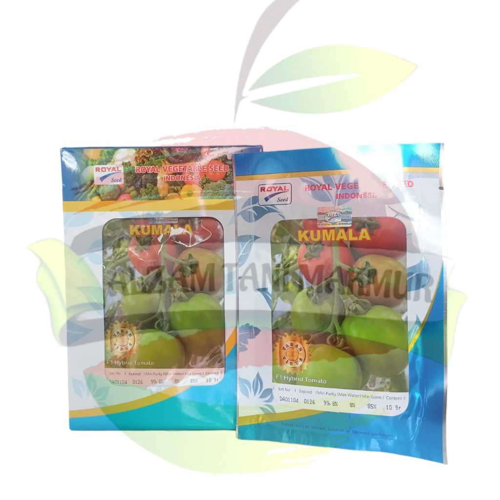 Benih Tomat KUMALA F1 isi 10 Gram ROYAL SEED