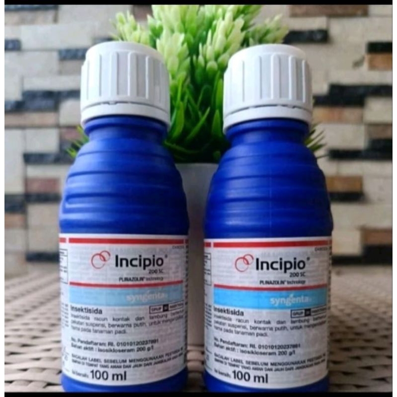 incipio 200sc insektisida