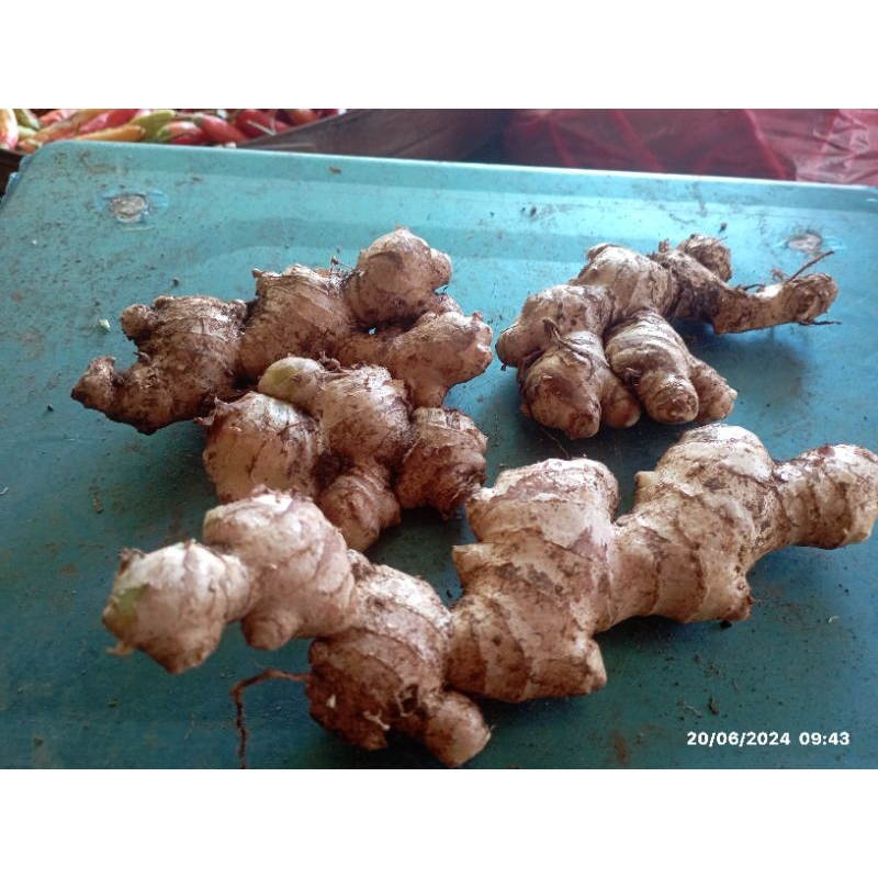 

Jahe Tebu Super 100g,250g,500g