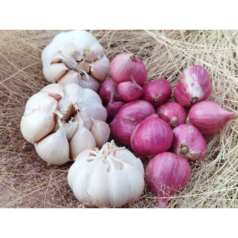 

Paket Hemat Bamer Baput 1Kg Murah