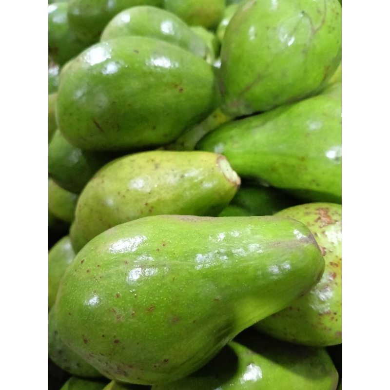 Alpukat Mentega isi 4-5 per kilo