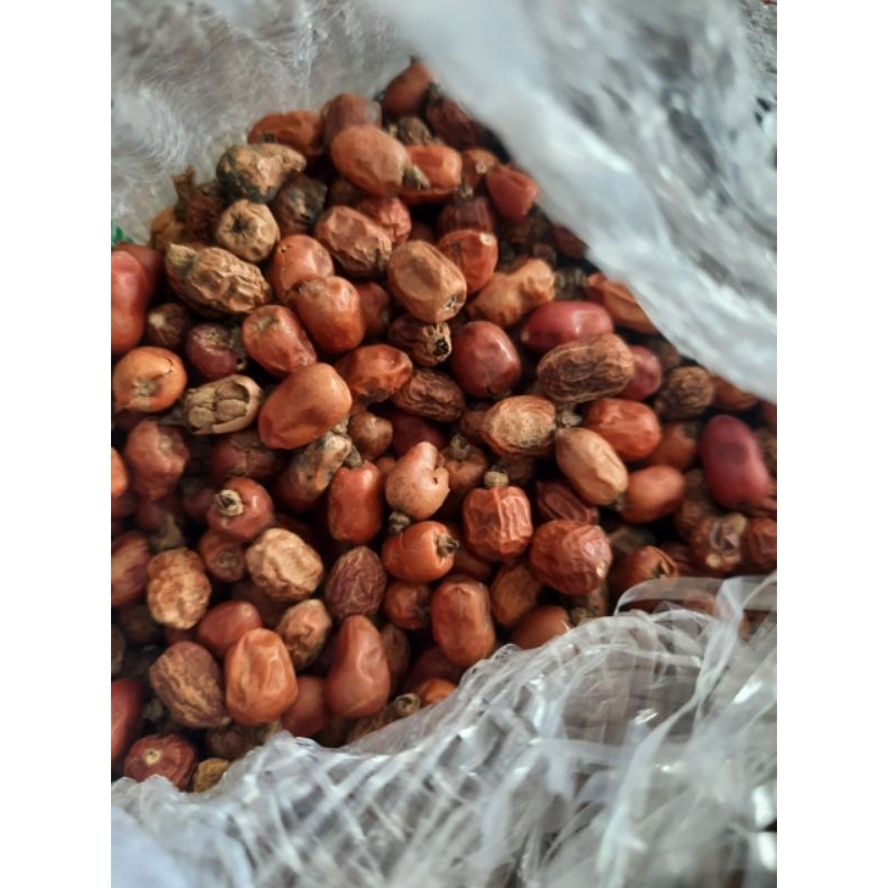 

buah kembang laja / lengkuas 50gram kering Original
