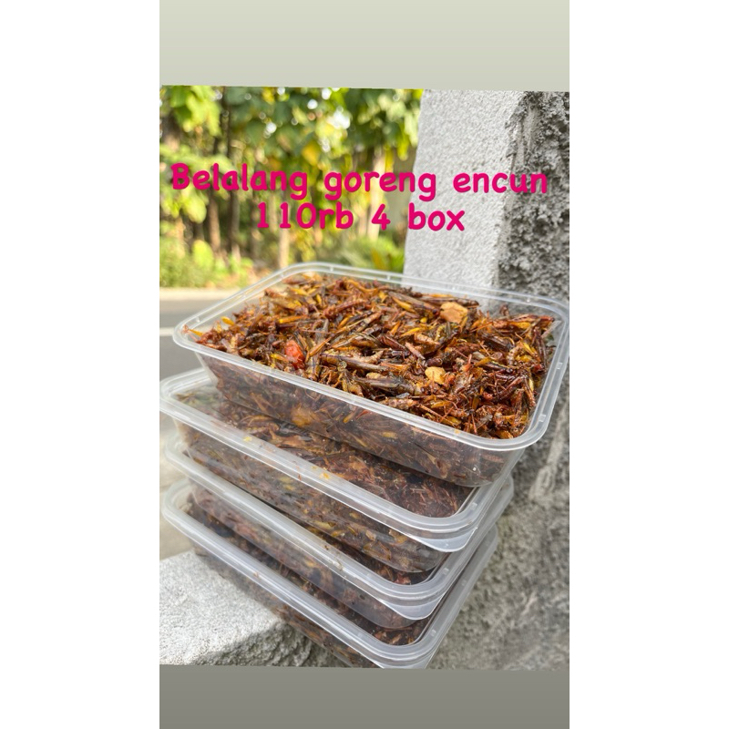 

Belalang goreng 110rb 4 BOX